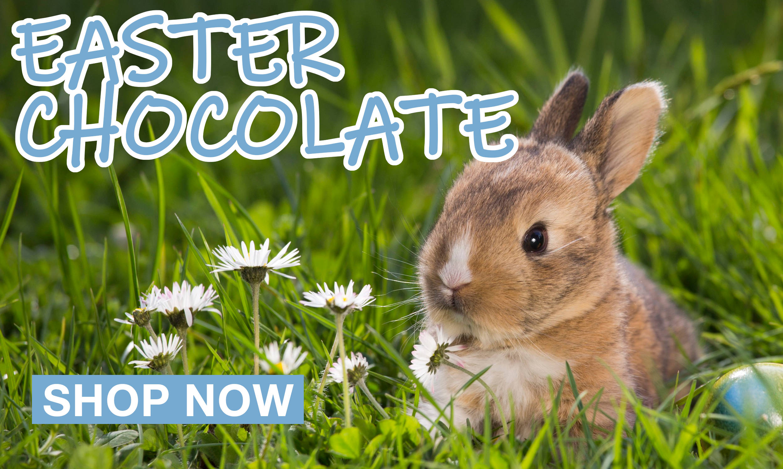 Easter chocolate 2024 shop online